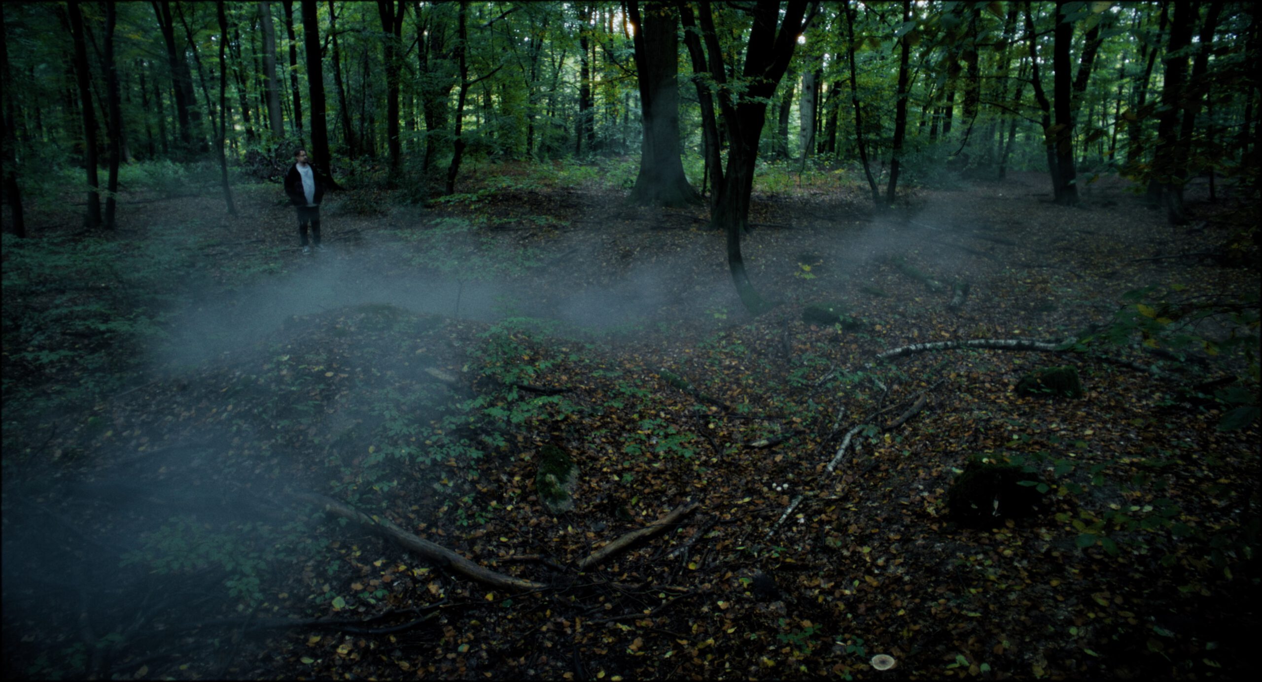 Still 2026-03-02 215119_1.1.15