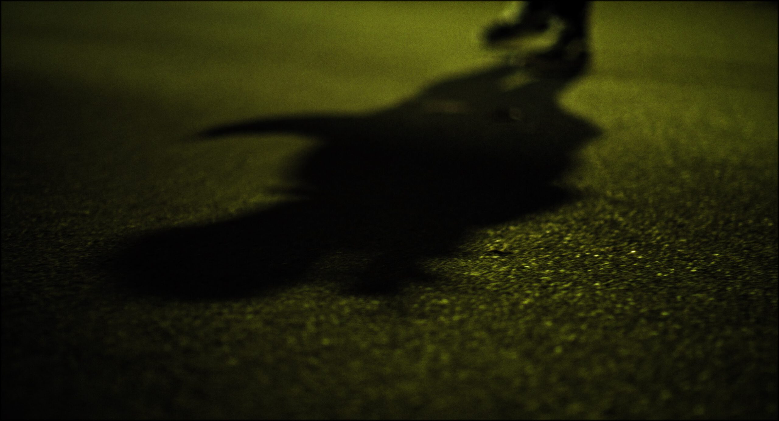 Still 2026-03-02 215119_1.1.9